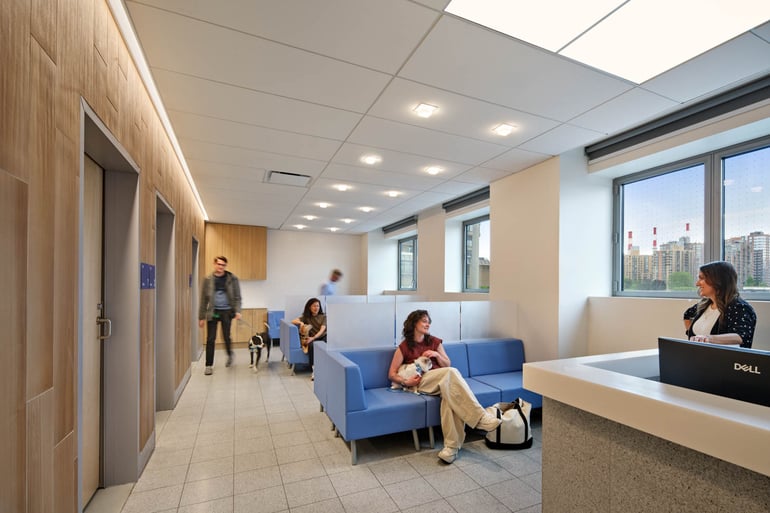 Schwarzman Animal Medical Center — interior designed by Perkins Will — photography by Chris Cooper / ArchExplorer